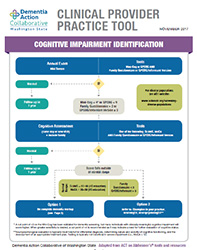 Clinical Provider Practice Tool PDF