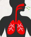 Image depicting pertussis