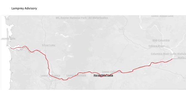 Lamprey Consumption Advisory Map - Columbia River