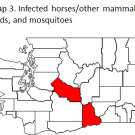 Map of Washington where there are infected houses/other mammals, birds, and vector mosquitoes. 