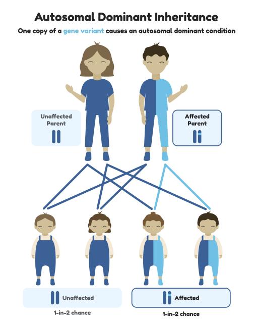 Autosomal Dominant Inheritance Infographic