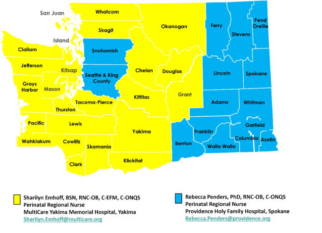 Washington State Perinatal Regional Nurses Map.